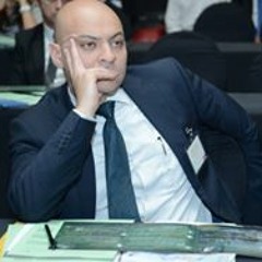 Wassim Hosny El-Metwally