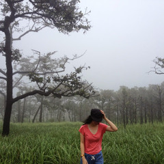 prairie kongpairin
