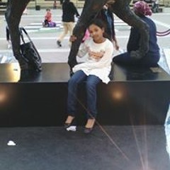 اغاني راب