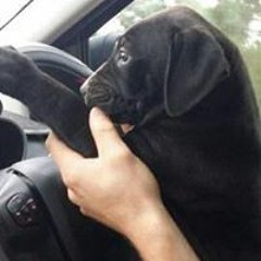 Sam Twodads Brodie-Toohey