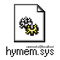 Hymem.sys