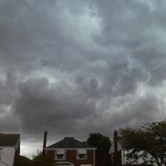 Michelle Phillips 44