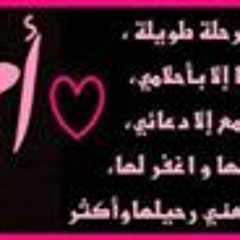 Ali Samy 17