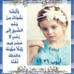 Noura Fahim 2