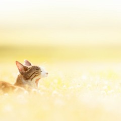 100% 지독하게 Better Day