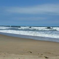 Michele Blankenship 2