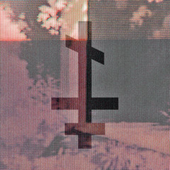 RΞGINΔLD