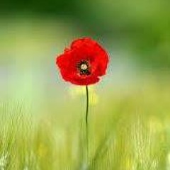 Indila - Feuille D Automne (Clip Officiel)