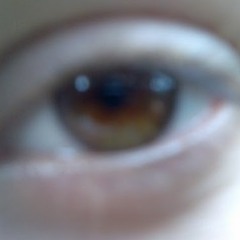 Krzysztof Gajewski 1