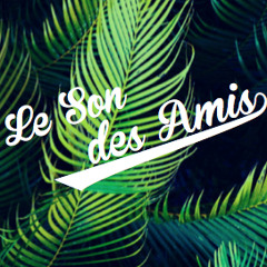 LE SON DES AMIS ✪