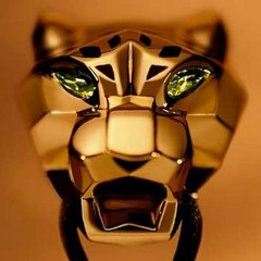 Big Cat