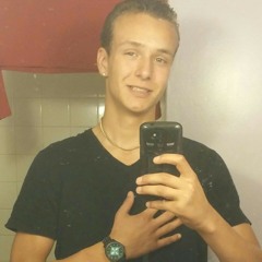steviebvollms
