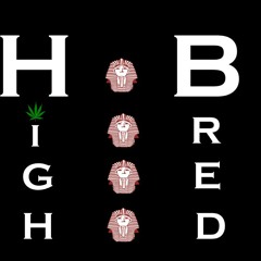 HighBredSound