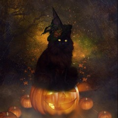 Susan Feldhaus Grabow