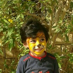 Ahmed Abdul Salam