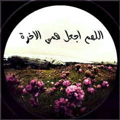 user868153919