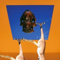 Lotion in the Basket