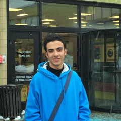 Tarek abdelghany