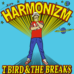 T Bird and the Breaks