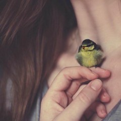 Ŝắrắ Â Ệl-ŜĦếrif