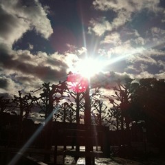 Youraveragetennisfan