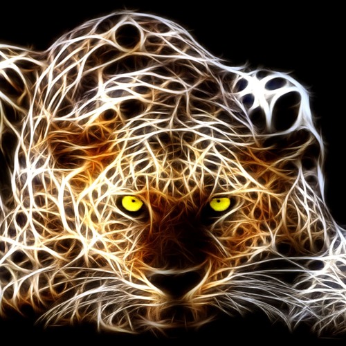 Slow Cheeta’s avatar