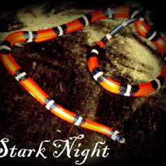 Stark Night