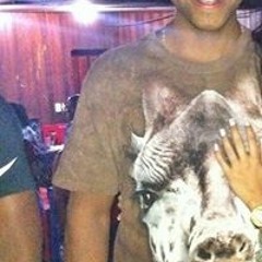 Nossos planos em Pericles