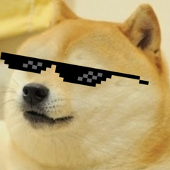 cool doge wit cool glasses