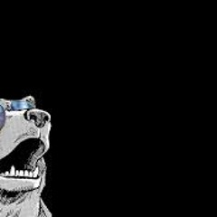 Bears Wearing Shades