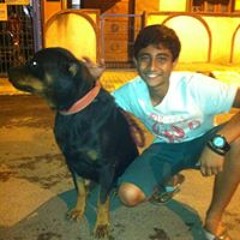 Nikith Rocker