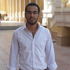Karim Elsokary