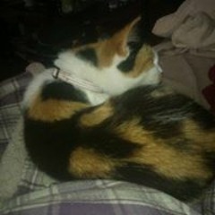 New private playlist