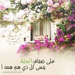 Mohammed Elsaedey