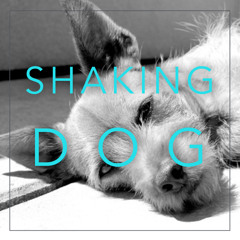 Shaking Dog