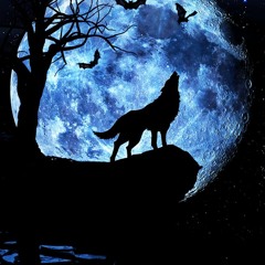 usernameunderconstruction