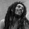 |Bob Marley|