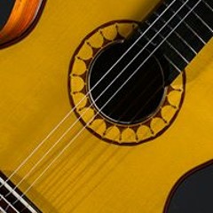 Scharpach Masterguitars