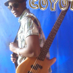 Mr coyote eu errei 1