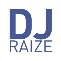 DJ Raize Videomixing