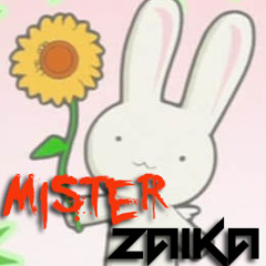 Mister Zaika