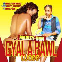 MARLEY DON MUSIC