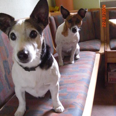 Saskia-Maria Mellies