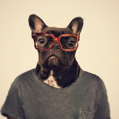 Plet (Serghinio Paolo)