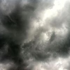 Michelle Buckner-Sease