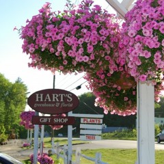 Hart's Greenhouse