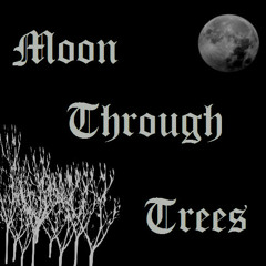 Moon Through Trees