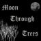 Moon Through Trees