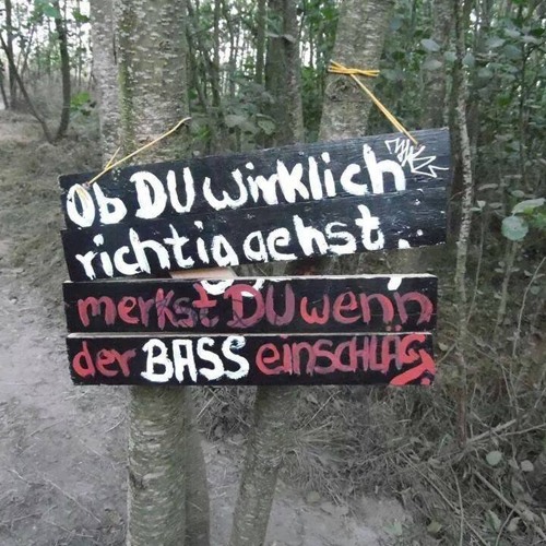 HANSON & SCHREMPF -live- Träumend Im Gras