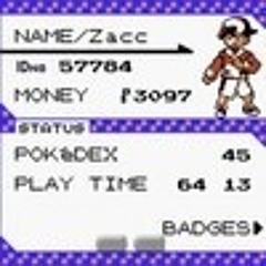 Trainer Zacc